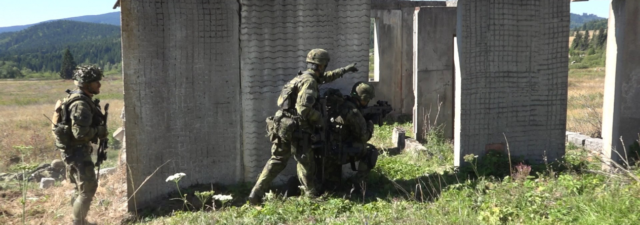 42nd_mechanized_battalion_tabor_-_42._mechanizovany_prapor_iv.jpg